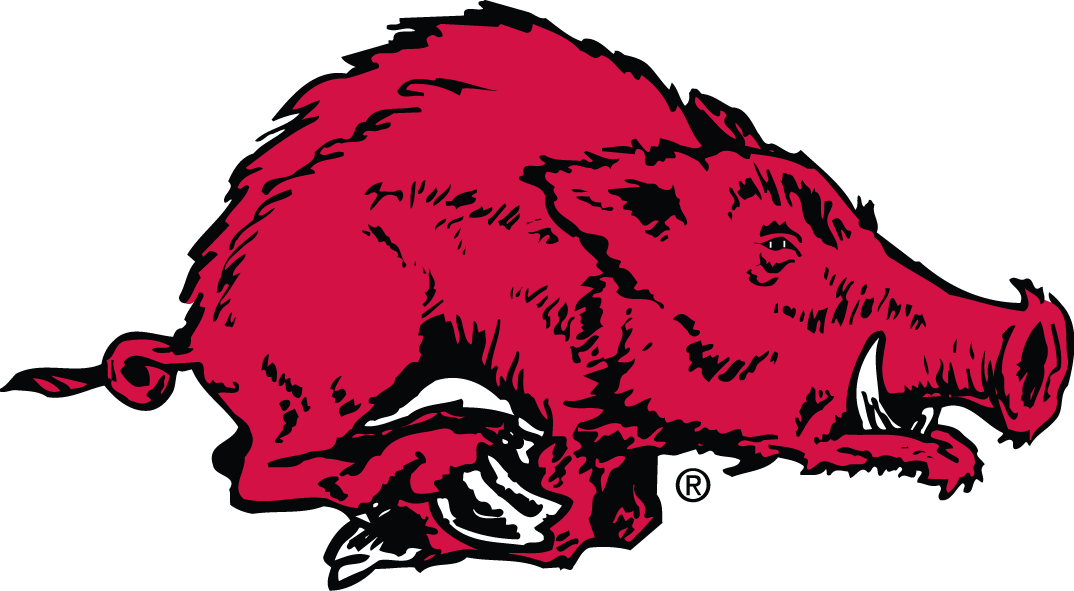 Arkansas Razorbacks 1967-1979 Alternate Logo iron on transfers for T-shirts